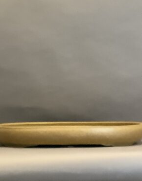 Golden Oval 19.5 x 16.5 x 2.5”